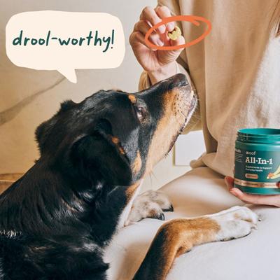 All-In-1 Beef Flavored Chew Vitamin Supplement for Dogs, 90 count