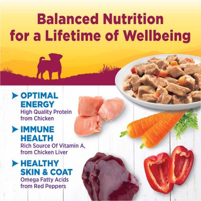 Complete Health Petite Entrees Alimento húmedo para perros adultos de razas pequeñas sin cereales con pollo, zanahorias y pimientos rojos en miniatura, taza de 3 oz, caja de 12