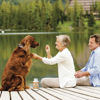 Hip & Joint Dog Supplement, 60 count