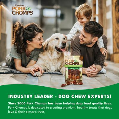 5-in Meaty Skewers Chew Dog Treats, 6 count