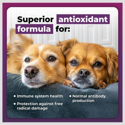 Immune Plus Immunity Support for Dogs, 120 count