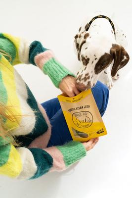 Turmeric Bison Jerky Dog Treats, 2.5-oz bag