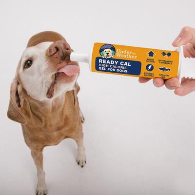 Ready Cal High Calorie Food Nutritional Gel Dog Supplement, 100-cc syringe