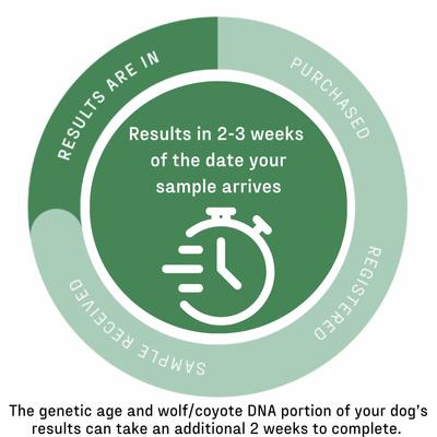 Premium Breed Identification Test