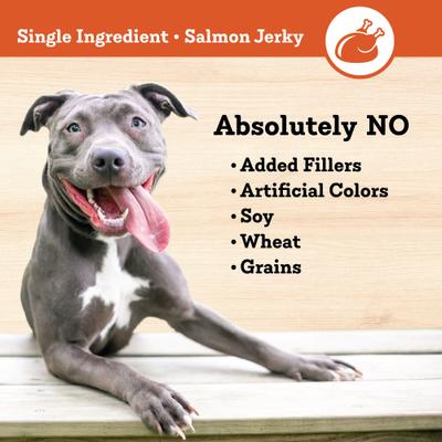 Salmon Jerky Dog Treats, 16-oz bag