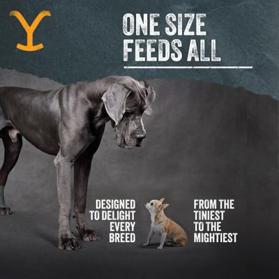 Cowboy Chews Long Lasting Small Natural Dog Chew Treats, 8-oz bag