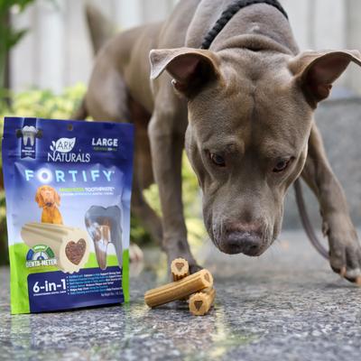 Fortify Brushless Toothpaste Large Dental Dog Treats, 18-oz bag