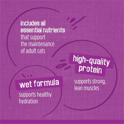 Poultry Adult Chicken & Turkey in Gravy Variety Pack Canned Cat Food, 5.5-oz can, case of 96