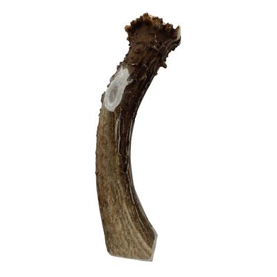 Deer Antler Dog Treat, Large