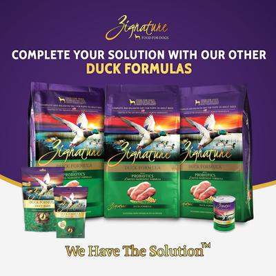 Duck Flavored Soft Dog Treats, 4-oz bag