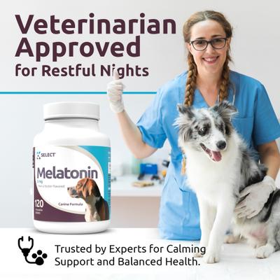 Melatonin Peanut Butter Flavor Calming Dog Supplement, 3-mg, 120 count