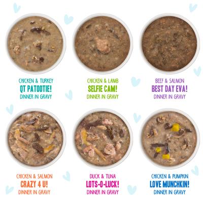 Bundle: BFF Rainbow A Gogo Variety Pack + OMG Rainbow Road Variety Pack Canned Cat Food