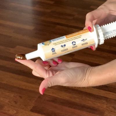 Ready Cal High Calorie Food Nutritional Gel Cat Supplement, 80-cc syringe