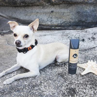 2in1 Oatmeal Wash Shampoo & Conditioner for Dogs & Puppies, 6.76-fl oz bottle