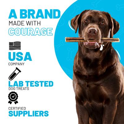 12-in Dog Bully Sticks Treat, 20 count