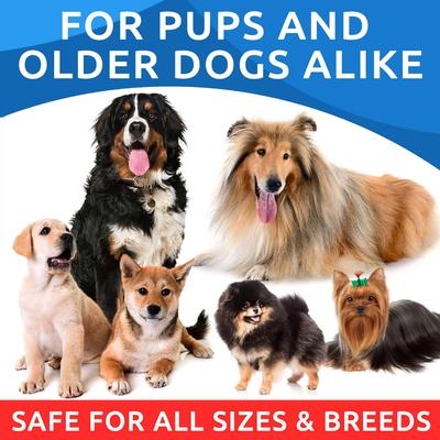 Allergy Relief & Itch Relief with Omega 3 Skin & Coat with Salmon Oil Chew Supplement for Dogs, 180 count