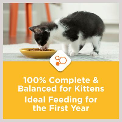 Bundle: Kitten Chow Nurture Muscle & Brain Development Dry Cat Food + Fancy Feast Tender Feast Variety Pack Canned Kitten Food