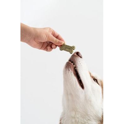 Golosinas crujientes para perros Minty Breath Bones, bolsa de 4 oz