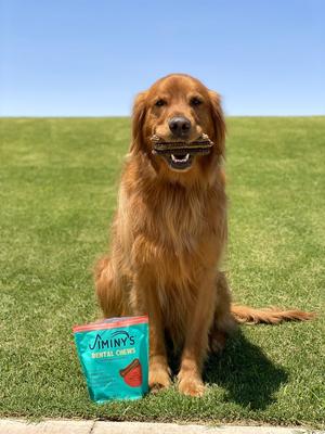 Dog Dental Chew Treat, Large, 7 count