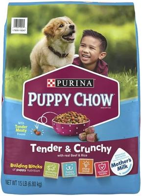 Tender & Crunchy with Real Beef Dry Dog Food, 30-lb bag