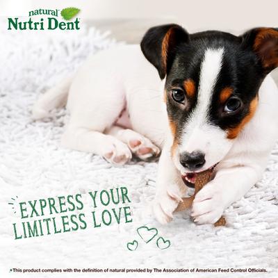 Nutri Dent Easy Hold Trios Dental Dog Treat, Filet Mignon, Medium, 20 count