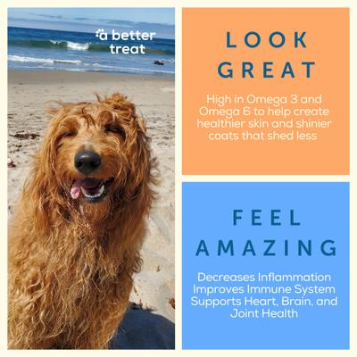 Freeze-Dried Wild Caught Salmon Dog & Cat Treat, 3-oz bag