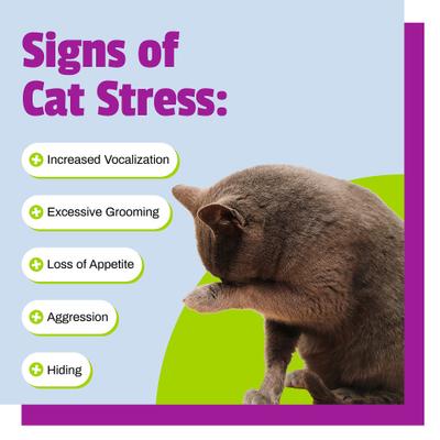 Calming Dog & Cat Chews, 160 count