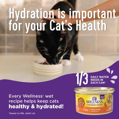 Complete Health Sliced Chicken Entree Grain-Free Canned Cat Food, 5.5-oz, case of 24