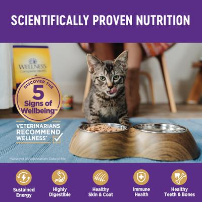 Bundle: Variety Pack - Wellness Natural Grain-Free Gravies Turkey Dinner Canned Cat Food, 3-oz, case of 12, Tuna & Salmon Flavors