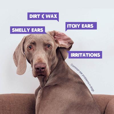 Bundle: HICC PET Antibacterial Ear Rinse with Cotton Swabs, 4-fl oz bottle + Relief Ear Finger Dog Cat & Small Pet Wipes