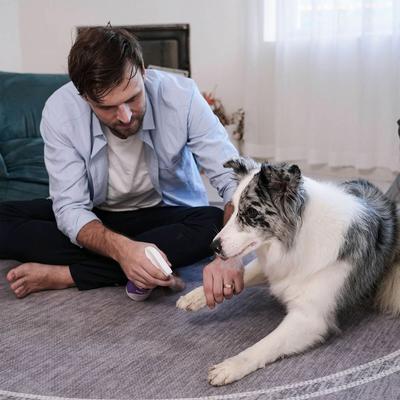 Bundle: HICC PET Portable Deodorizing Glove Grooming Wipes, Rose Scented, 6 count, 3 pack + Skin Care Relief Cat & Dog Spray, 16-oz bottle