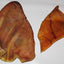 Large Roasted Pig Ears Dog Chews, 25 count