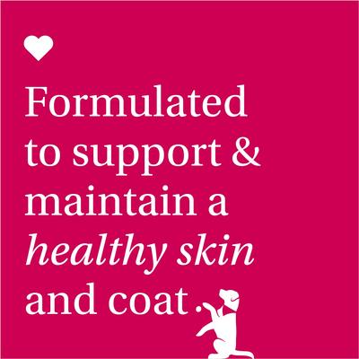 Suplemento para perros con sabor a cerdo para aliviar la picazón, 30 unidades, 30 unidades, paquete de 3