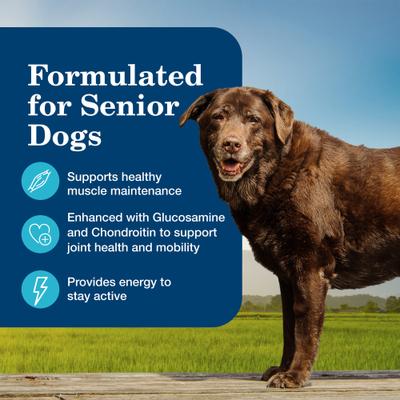 Bundle: Blue Buffalo Life Protection Formula Senior Chicken & Brown Rice Recipe Dry Dog Food, 30-lb bag + Homestyle Recipe Chicken Dinner with Garden Vegetables Senior Wet Dog Food, 12.5-oz, case of 12 + Nudges Grillers Chicken Dog Treats, 16-oz bag