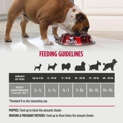 Nulo, Frontrunner Small Breed Ancient Grains, Pavo + Pescado Blanco + Quinoa, Perros de Raza Pequeña, 2.27 / 6.35 kg