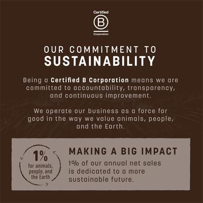 No-Hide Stix Long Lasting Natural Rawhide Alternative Mango Vegetarian Recipe Chew Dog & Cat Treat Sticks, 20 count