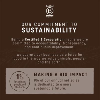 No-Hide Seasonal Rolls Pumpkin Spice Recipe Large Natural Rawhide Alternative Dog Chew