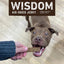 Wisdom Air-Dried From the Soil Recipe Premium Natural Insect-Based Jerky Strips Dog Treats, 4-oz bag