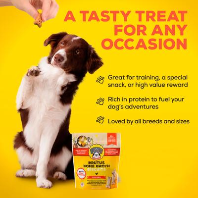 Galletas de caldo de hueso de pollo, premios crujientes naturales para perros con ingredientes limitados, bolsa de 8 oz