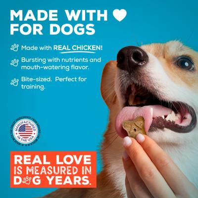 Bone Broth Chicken Biscuits Natural Limited Ingredient Crunchy Dog Treats, 8-oz bag