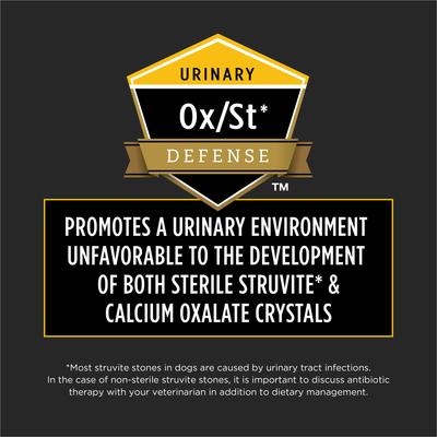 Neurocare Dry Dog Food, 11-lb bag