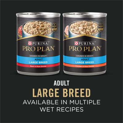 Adult Large Breed High Protein Chicken & Rice Dry Dog Food, 18-lb bag