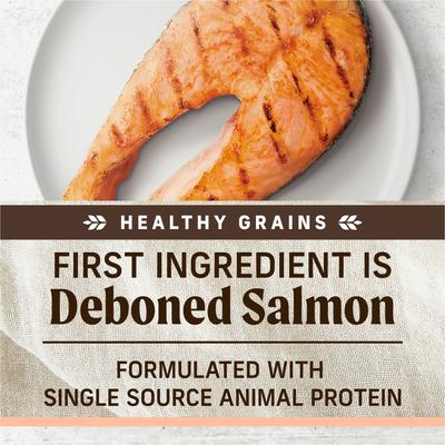 Limited Ingredient Diet Real Salmon & Brown Rice Recipe with Healthy Grains Dry Dog Food, 22-lb bag