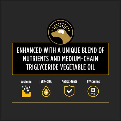 Neurocare Dry Dog Food, 11-lb bag