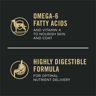 Adult Large Breed High Protein Chicken & Rice Dry Dog Food, 18-lb bag