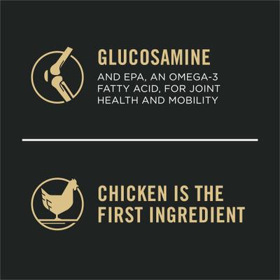 Adult Large Breed High Protein Chicken & Rice Dry Dog Food, 18-lb bag