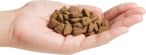 Bundle: Purina Pro Plan Adult Sensitive Skin & Stomach Salmon & Rice Formula Dry Dog Food, 30-lb bag + Skin Care Soft Chew Supplement, 7 count