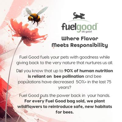 Puppers Crunchy Chicken with Bone Marrow & Bone Broth High Protein Crunchy Dog Treats, 12-oz bag