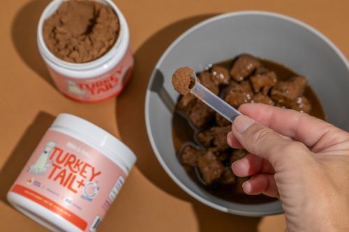 Turkey Tail + Mushroom Bacon Flavored Powdered Dog Food Topper, 2.97-oz jar