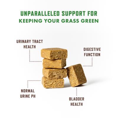 Duck Flavored Chew Lawn Protection Supplement for Dogs, 90 count